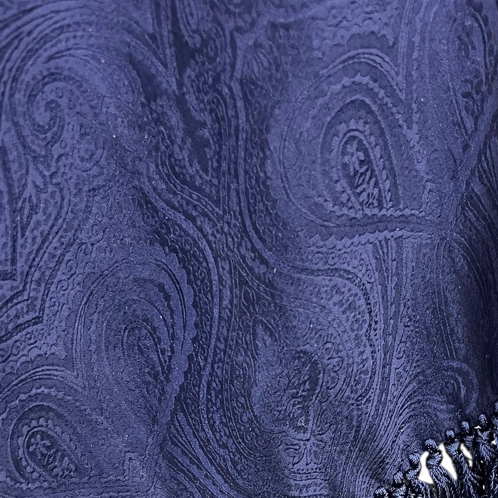 Van Heusen 100% Silk Navy Blue Paisley Scarf Wrap Shawl Fringe - Picture 5 of 7